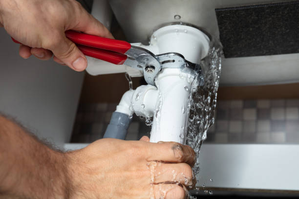 Best Flood damage cleanup  in Benton, IL