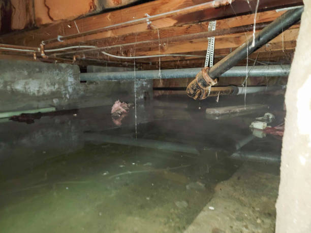 Best Water damage restoration cost  in Benton, IL