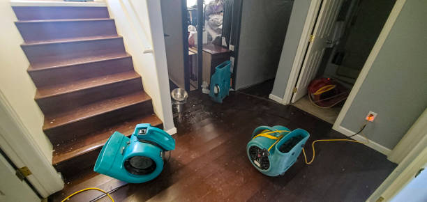 Best Water damage cleanup near me  in Benton, IL