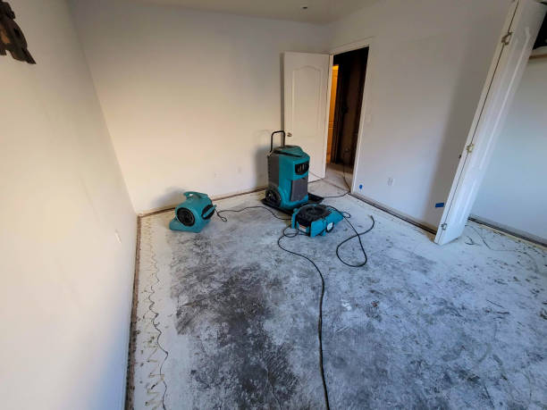Best 24-hour water damage restoration  in Benton, IL