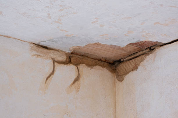 Best 24/7 water damage repair  in Benton, IL