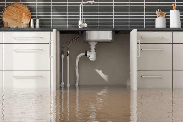 Best Flood restoration services  in Benton, IL