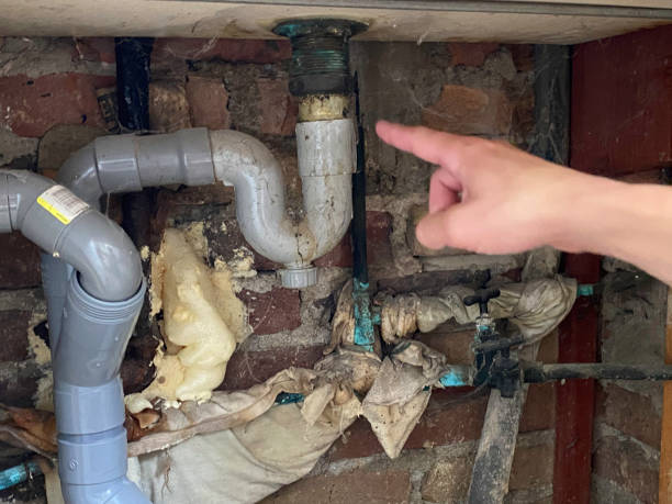Best Water damage contractors near me  in Benton, IL