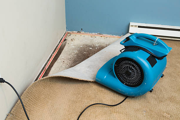 Best Water damage restoration insurance claims  in Benton, IL
